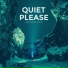 Quiet Please