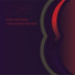 Little Ambient Machine