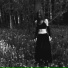 sylva