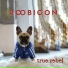 Roobicon