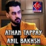 Anil Bakhsh