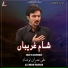 Ali Imran Naushad