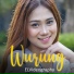 Elvideography