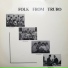 The Folksters