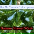 Najeem Shawal Wazir