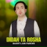 Bakhti Jan Pardes