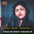 Sitara Younas, Shahsawar