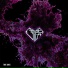 Magna Vita feat. Jack Neila
