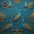 bohlale, HyperSOUL-X