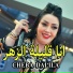 cheba dalila