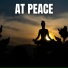 the peaceful garden