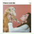 Calm Dog Music