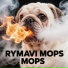 RYMAVI
