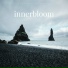 Infraction Music