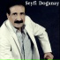 Seyfi Doğanay
