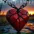 PearlFloower