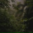 Nature Cloud