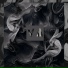 DAR