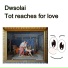 Dwsolai