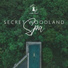 Spa Music Paradise