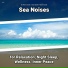 Sea Waves Sounds, Ocean Sounds, Nature Sounds