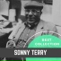 Sonny Terry