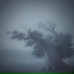 Lurt, ereysem