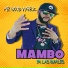 Mr Good Vybez
