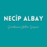 Necip Albay