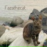 fazathecat