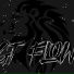 GTFLOW, Victor Felipe