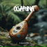 Miracle Ocarina