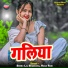 Bheru Lal Bhadhana, Harji Ram