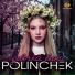 Polinchek