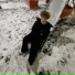 nesqvuikv3