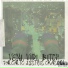 JUSTHIS feat. Paloalto, Okasian