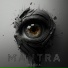 INSIDIA