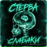 СТЕРВА