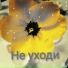 Олеся Светозарова