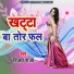 Vijay Raja