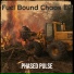 Phased Pulse