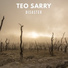 Teo Sarry