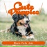 Cute Puppies