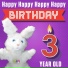 Hoppa the Happy Bunny