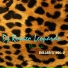 Romeo Leopardo DJ