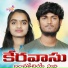 Krishnudu Srinu