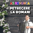 Petrecere la Romani