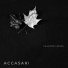 Accasari
