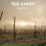 Teo Sarry