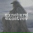 kostvev
